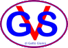 GVS